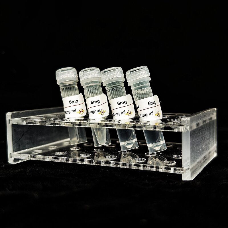 HIS Tag Antibody Supplier - HIS mAb3 against HIS Tag