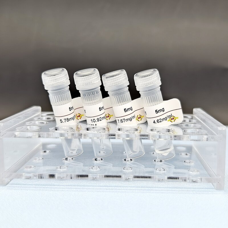 HIS Tag Antibody Supplier - HIS mAb3 against HIS Tag