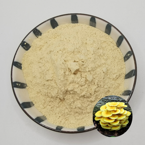 Pleuron Powder Supplier - 1% Ergothioneine Food Grade Wild Cultivation