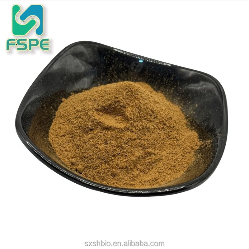 Oyster Extract Manufacturer - 10:1 Water Soluble Oyster Powder