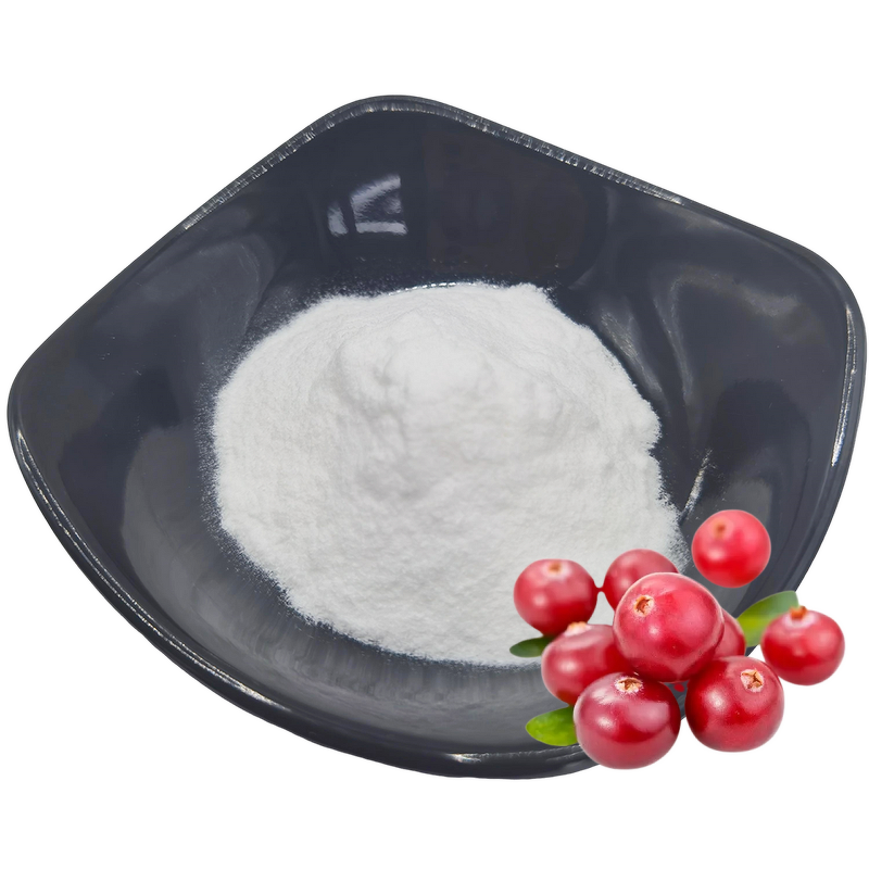 Arbutin Extract Supplier - Cosmetics Natural Beta-Arbutin Powder