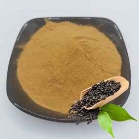 Green Tea Extract Manufacturer - Water Soluble Food Grade Powder