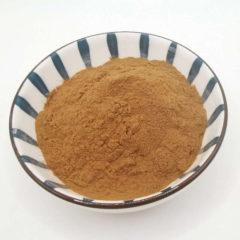 Shiitake Mushroom Extract Supplier - 10:1 Food Additive Seasoning
