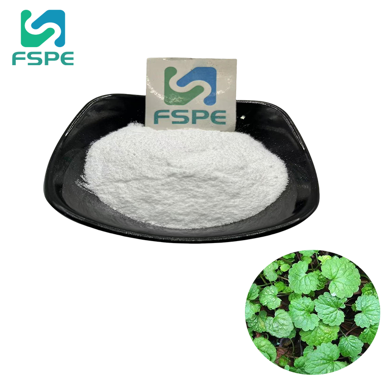 Centella Asiatica Extract Supplier - 80% Asiaticoside Glycoside Powder