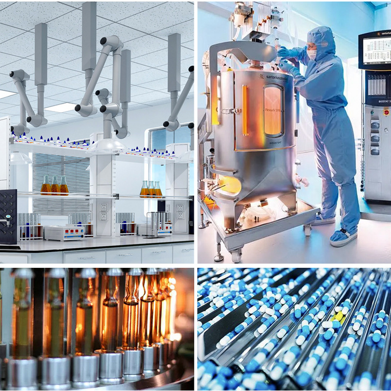 Rosemary Extract Supplier - 5% Rosmarinic Acid Water Extracted