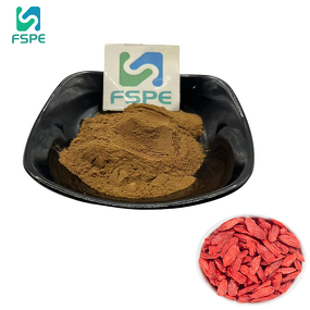 Wolfberry Extract Manufacturer - Lycium Barbarum 10:1 Extract Powder