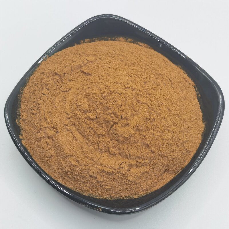 Rosemary Extract Supplier - 5% Rosmarinic Acid Water Extracted