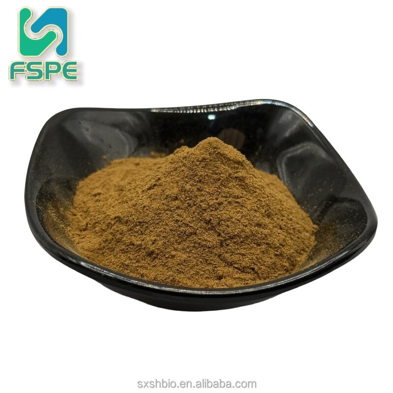 Oyster Extract Manufacturer - 10:1 Water Soluble Oyster Powder
