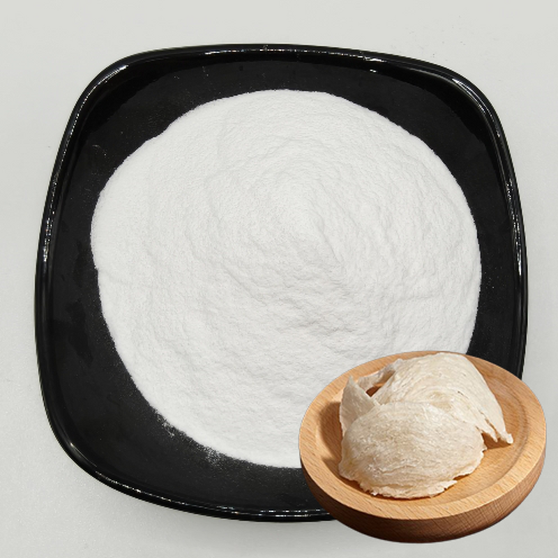 Bird's Nest Powder Manufacturer - Water-Soluble High Sialic Acid