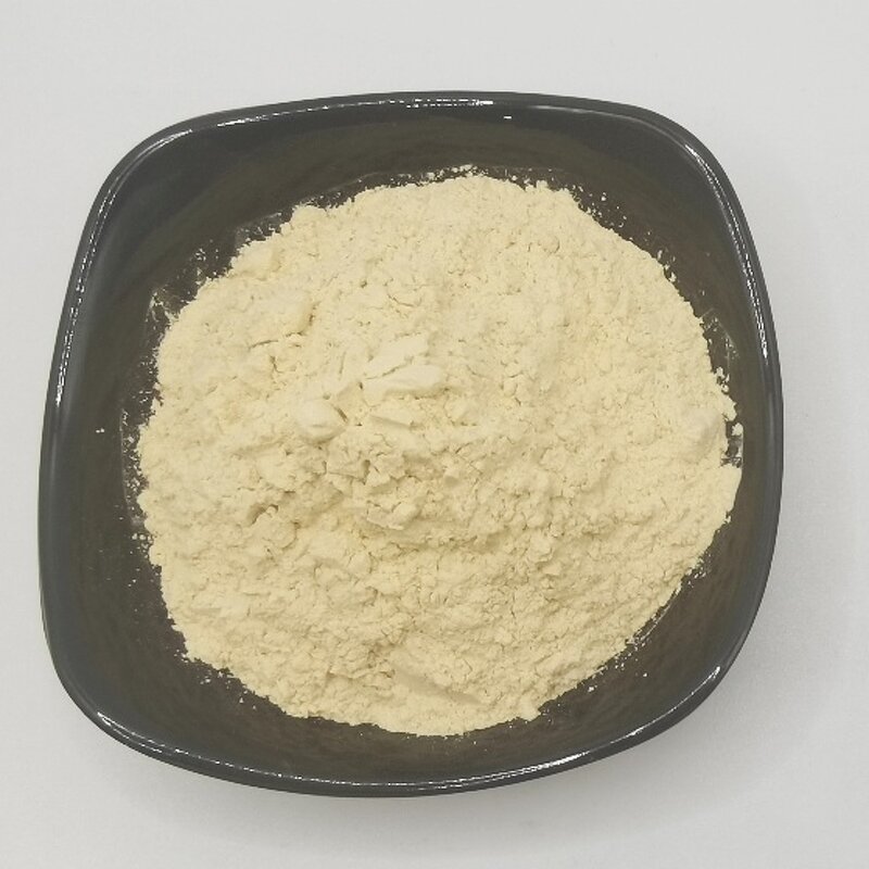Ginseng Extract Manufacturer - 80% Saponins Food Grade Powder