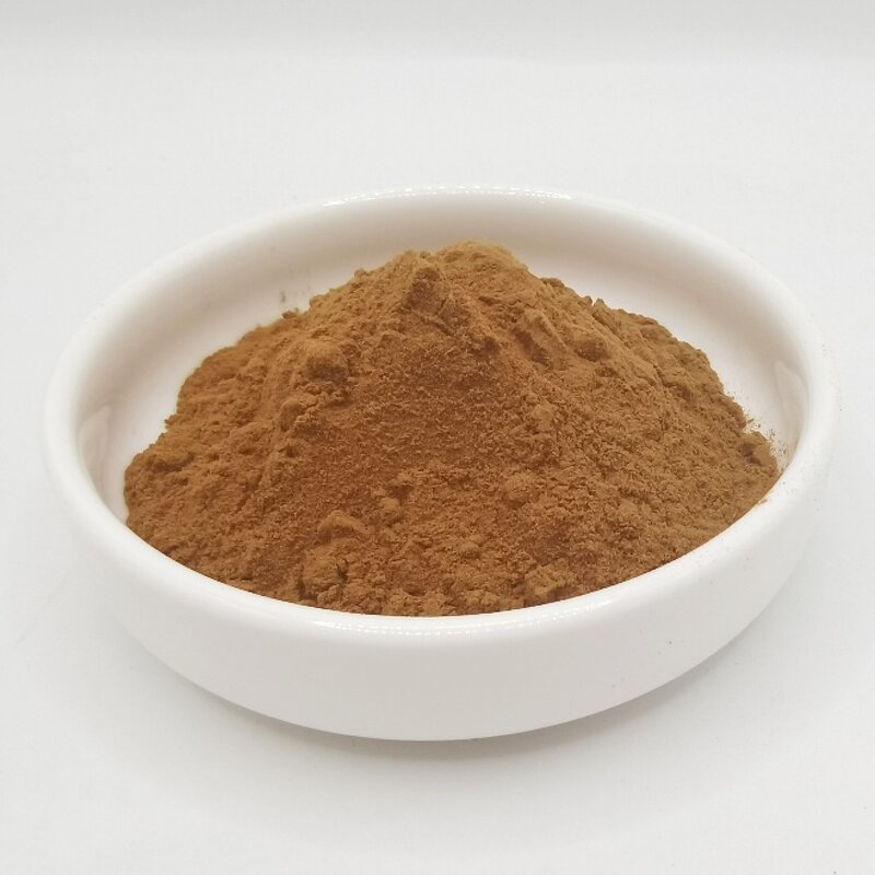 Loquat Fruit Extract Factory - 10:1 Food Grade for Health Products