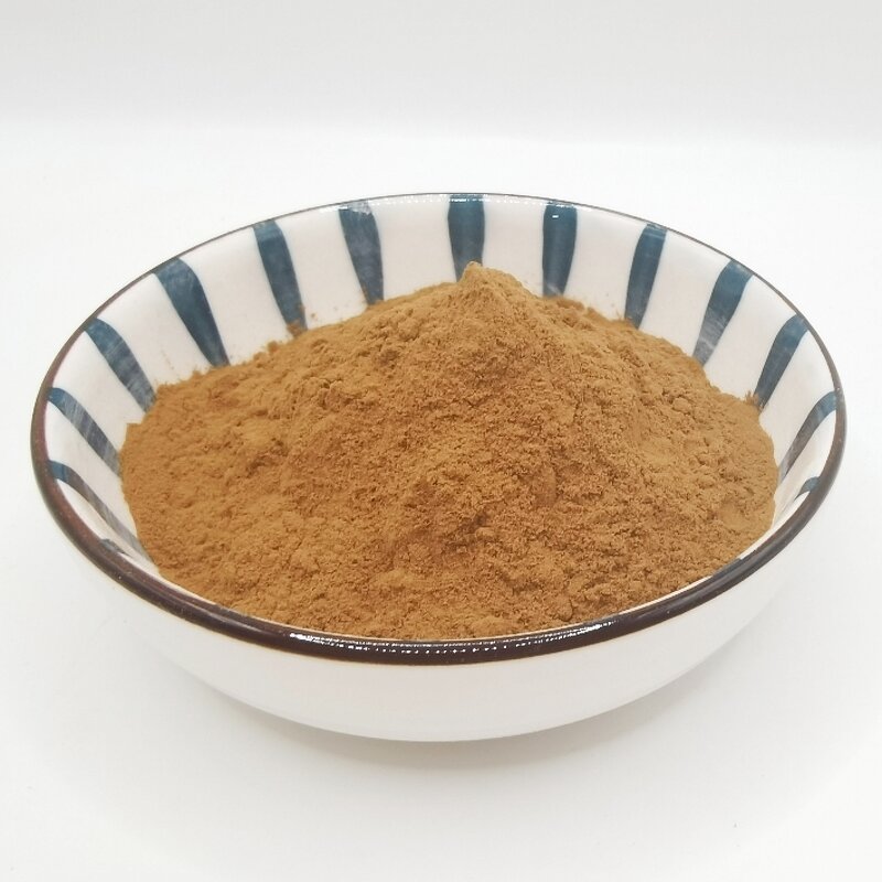 Shiitake Mushroom Extract Supplier - 10:1 Food Additive Seasoning