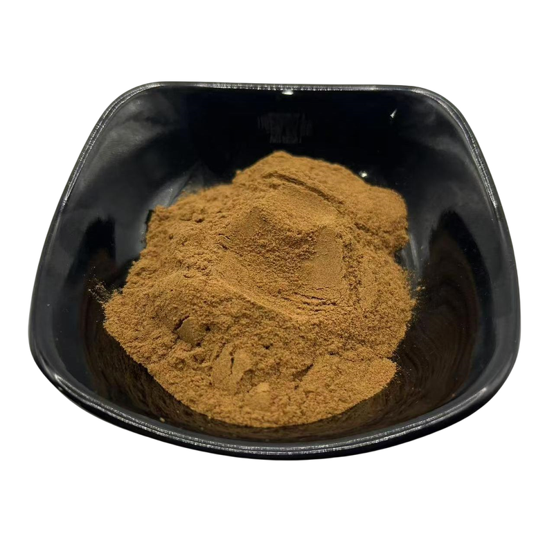 Wolfberry Extract Manufacturer - Lycium Barbarum 10:1 Extract Powder