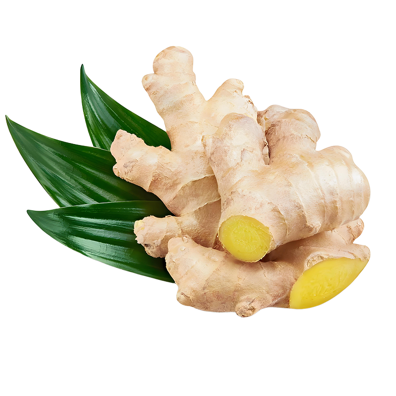 Ginger Root Extract Supplier - 1% Gingerol 4:1 Zingiber Officinale