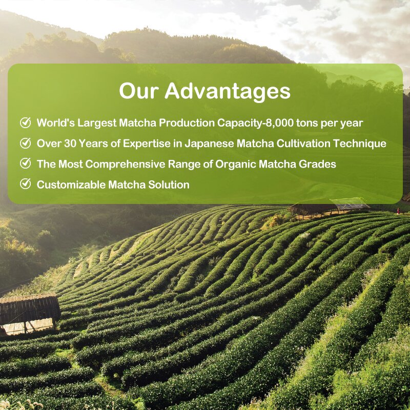 Matcha Powder for Beverages Supplier - 100g with Customization