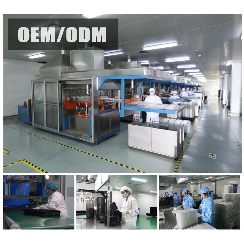 Disposable Mini Round Cake Paper Cup Supplier - with Lid Oven-Specific Mold Tray Packaging