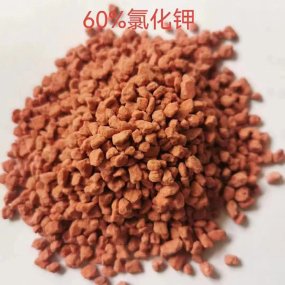 Potassium Chloride Fertilizer Supplier - Agriculture Use Kcl 60% for Sale