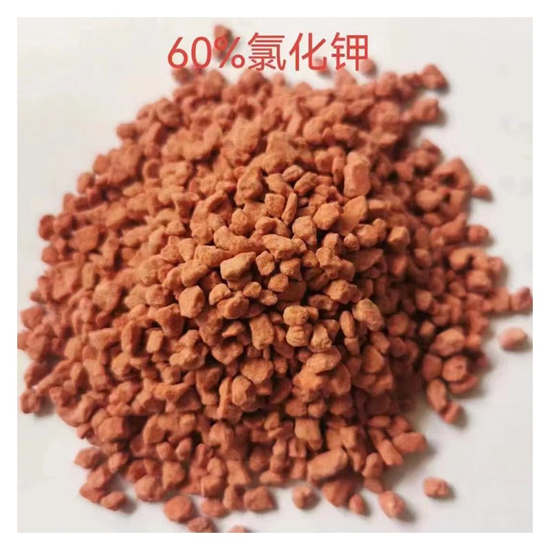Potassium Chloride Fertilizer Supplier - Agriculture Use Kcl 60% for Sale