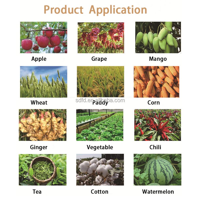 DAP Fertilizer Manufacturer - 18-46-0 Granular Fertilizer