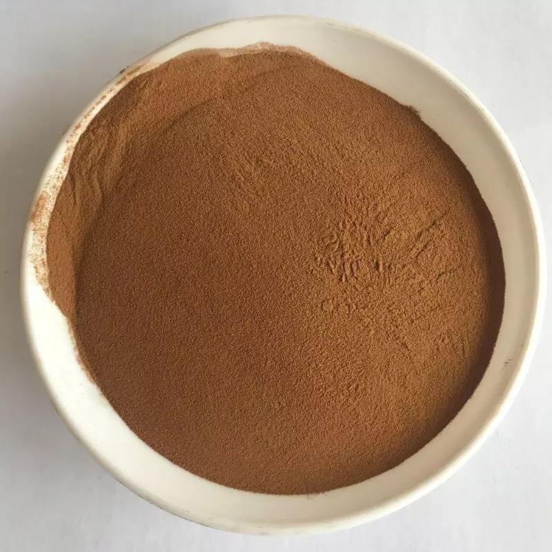 Sodium Lignosulphonate Manufacturer - Water Reducer Auxiliary Agent