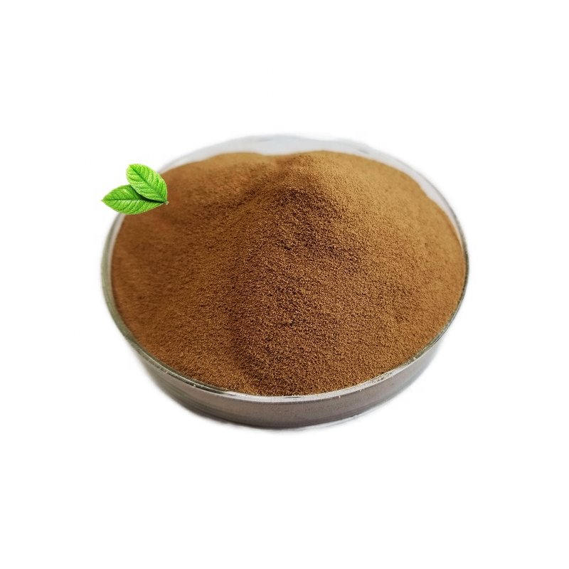 Hydroxyethyl Cellulose Factory - HEC Powder Thickening Agent