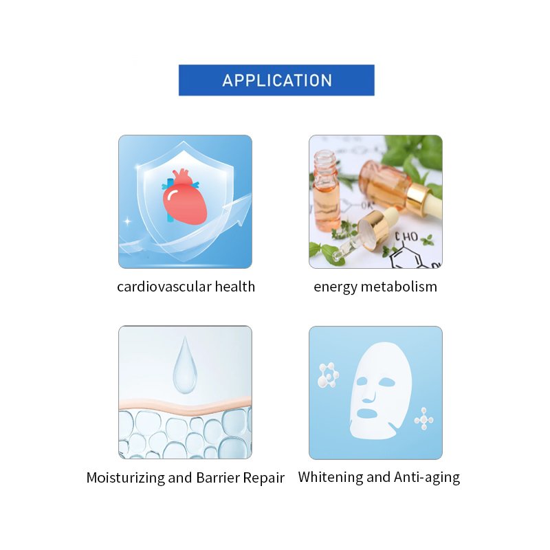 Nicotinamide Supplier - High Quality Reasonable Price