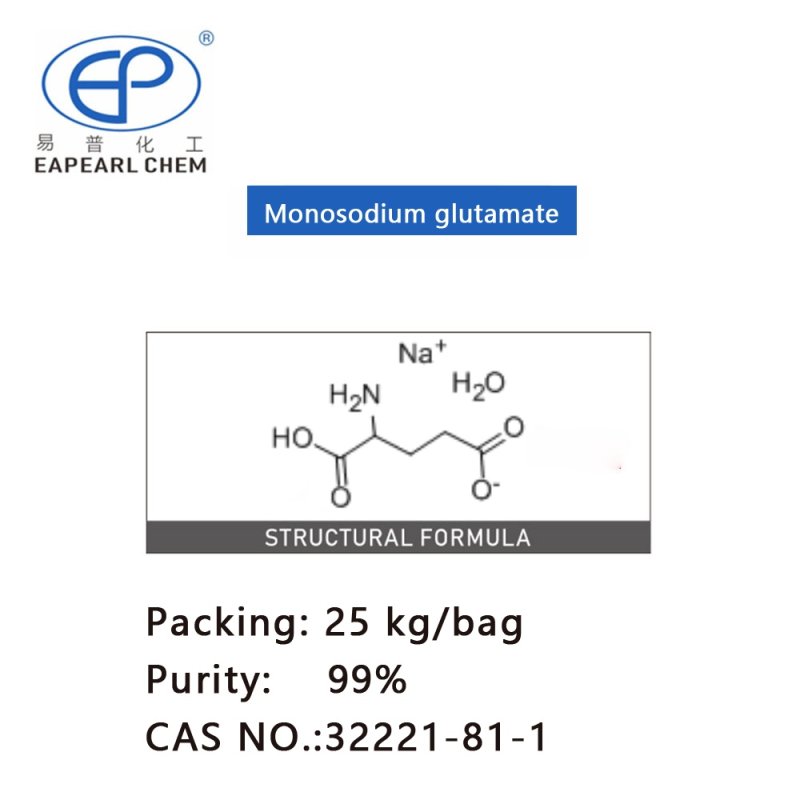 Monosodium Glutamate Manufacturer - 99% Food Grade Flavor Enhancer