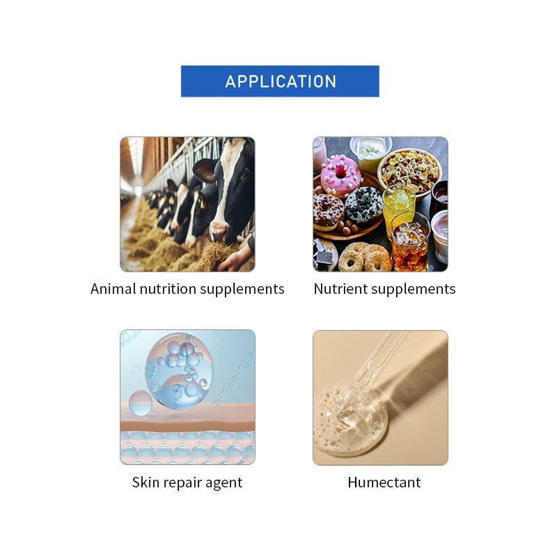 Calcium Pantothenate Manufacturer - High Quality Reasonable Price