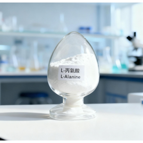 L-Alanine Powder Supplier - 99% Food Grade for Sports Nutrition