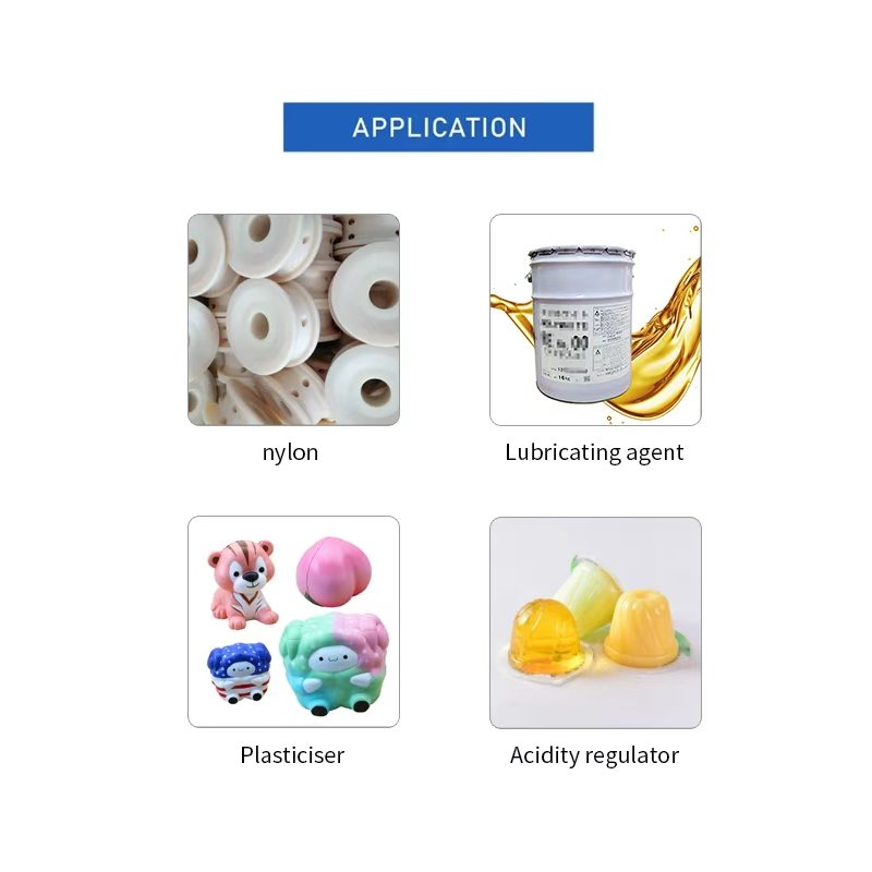 Adipic Acid Powder Manufacturer - 99.8% Food Industrial Grade