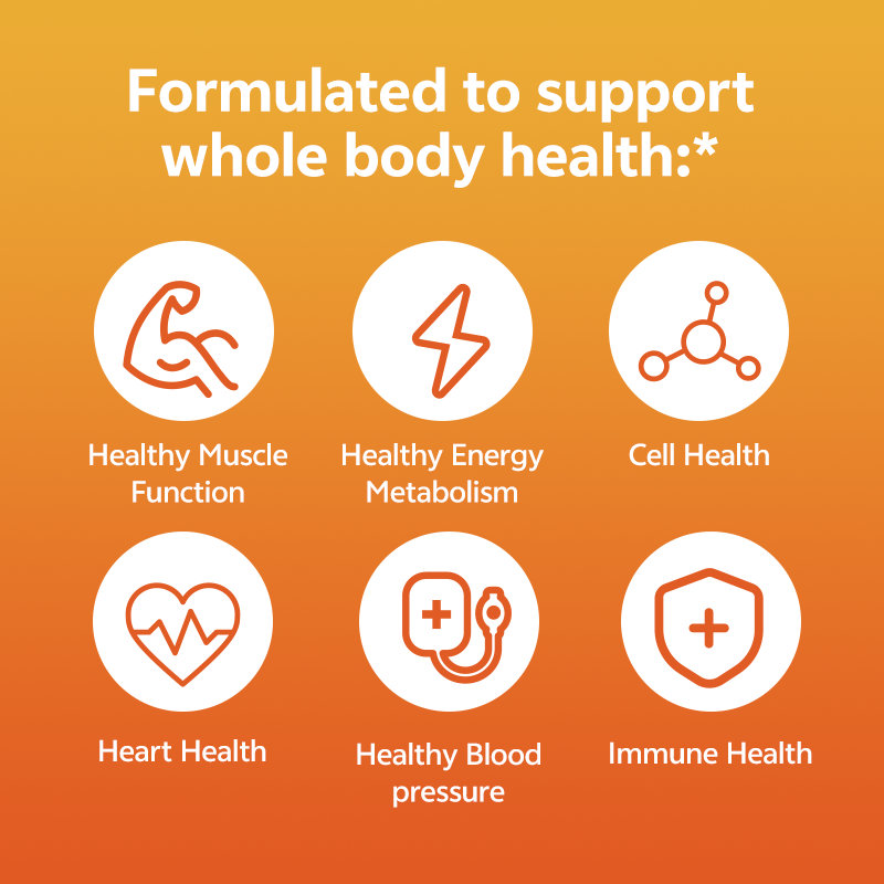 GMP Whole Food Non Gmo Super Daily Multivitamin Supplement Tablet Multi Vitamin c And Vitamin e Biotin And Multivitamin Tablets