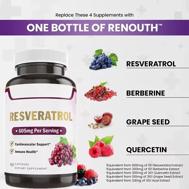 Herbal Supplement Organic 99% Resveratrol Capsules Immune Support Premium Formula Brain Focus Capsule for Adults