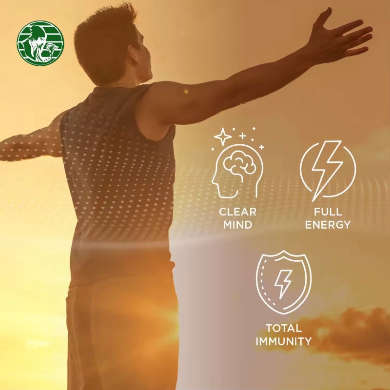 OEM  Pure Vegetarian and Lion Mane Mushroom Soft Candy Private Brand Sugar Free Mushroom Focus Puzzle Soft Candy