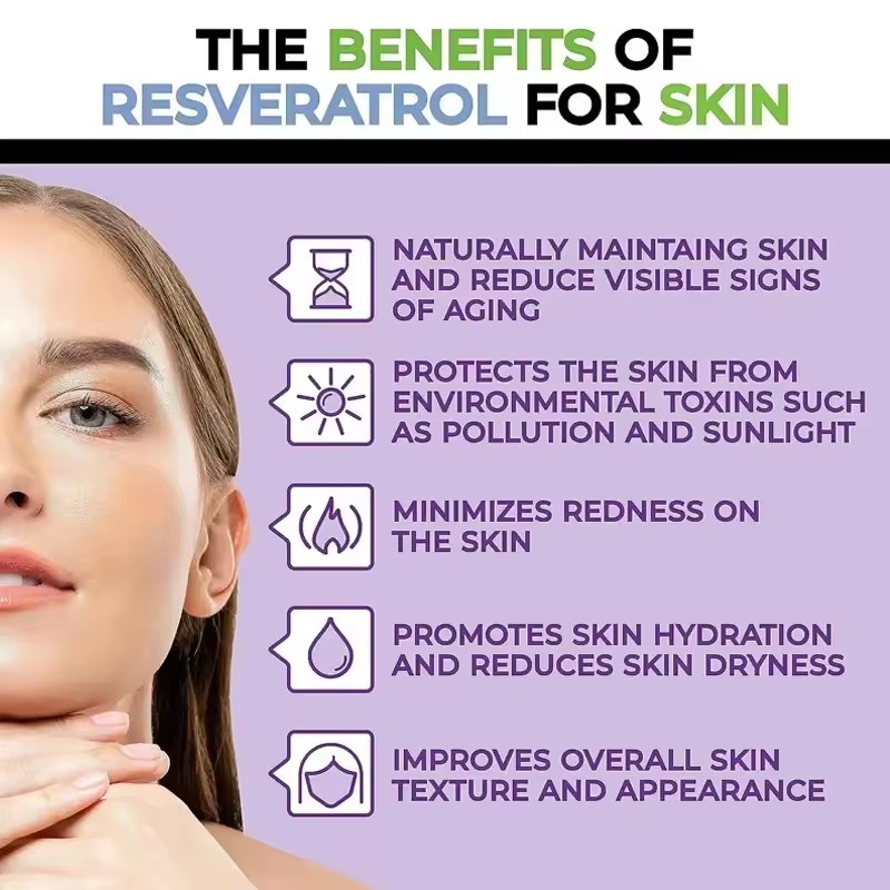 Herbal Supplement Organic 99% Resveratrol Capsules Immune Support Premium Formula Brain Focus Capsule for Adults