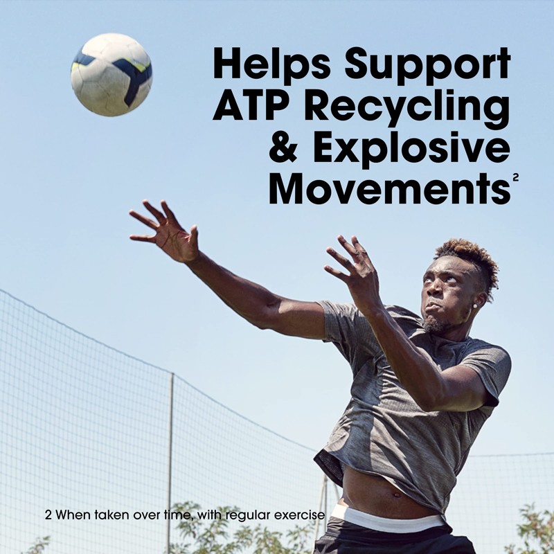 Factory Supply Creatine Monohydrate Powder Fast Muscle Building Micronized Fitness Sports Nutrition Creatine Powder Manufacture