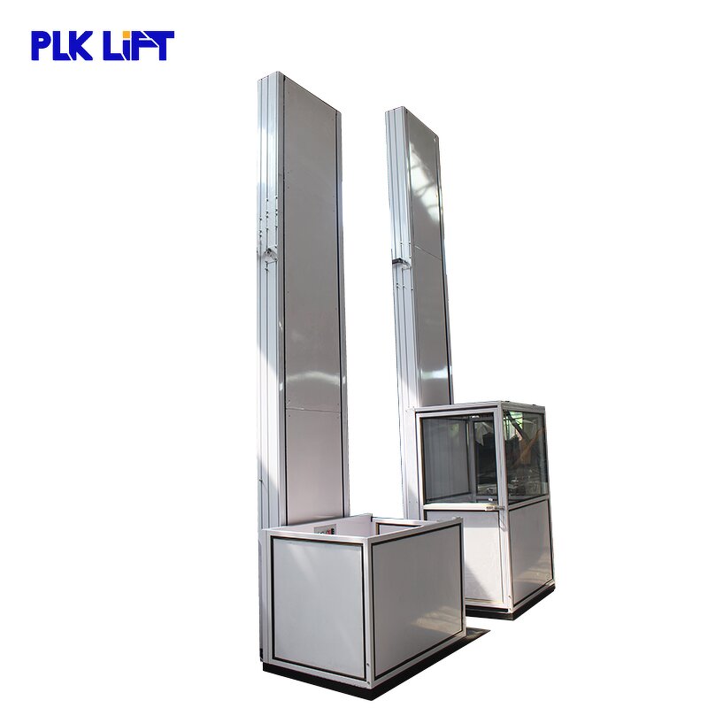 Stainless Steel Home Lift Supplier - for Disable Old People