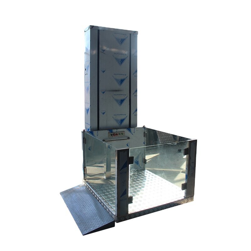 Stainless Steel Home Lift Supplier - for Disable Old People