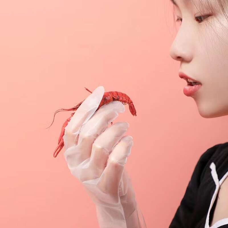 Food Handling TPE Gloves Manufacturer - Powder Free Transparent