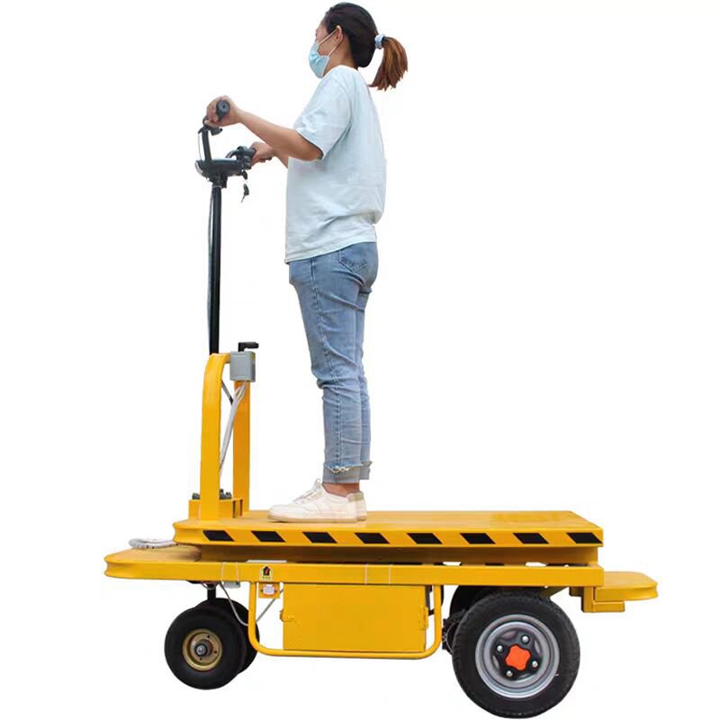 Electric Patrol Vehicle Manufacturer - New Arrivals 110V/220V