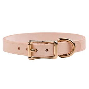 Studded Dog Collar Supplier - High Quality Custom LOGO
