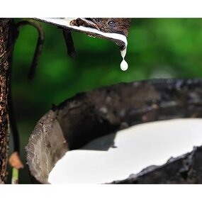 Cleanroom Finger Cots Factory - Disposable White Antistatic Esd Latex Factory Direct