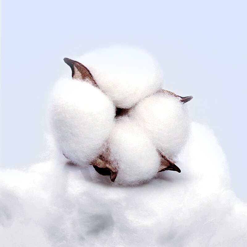 Cleanroom Cotton Swab Supplier - Sterile Supplies Medical Devices Laboratory Consumables