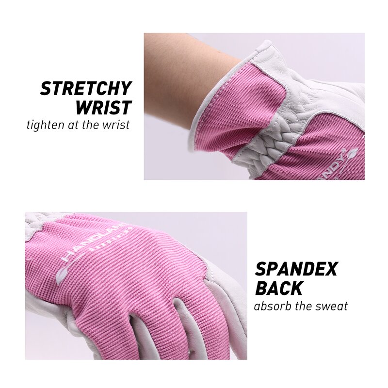 Garden Gloves Supplier - Women's Leather Touch Screen Great Grip Anti-Abrasion
