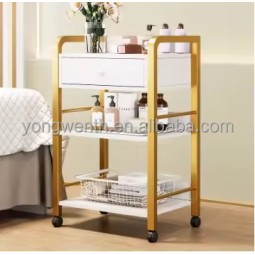 Factory Wholesale Convenient Economic Metal Folding Spa Salon Trolley Modern Design Style for Hair Salon & Home Use