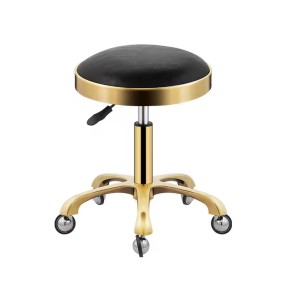 Professional Barber Chair Promotion Cosmetic Salon Chairs Hair Stylist Scissors Purpose Wheel Swivel Vanity Vintage Siege Nail