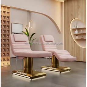 Electric Beauty Bed Lifting Tattoo Bed Stainless Steel with Foot Control Minimally Invasive Beauty Chair Light Luxury