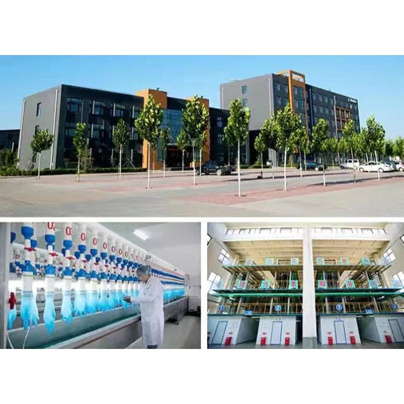 Nitrile Gloves Distributor - Auto Supplies Factory Sell