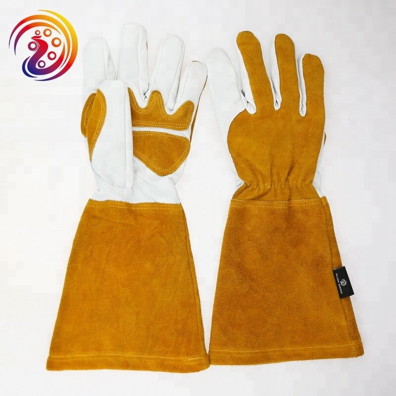 Elbow Length Garden Gloves Factory - Rose Gloves for Women and Men Pantyhose