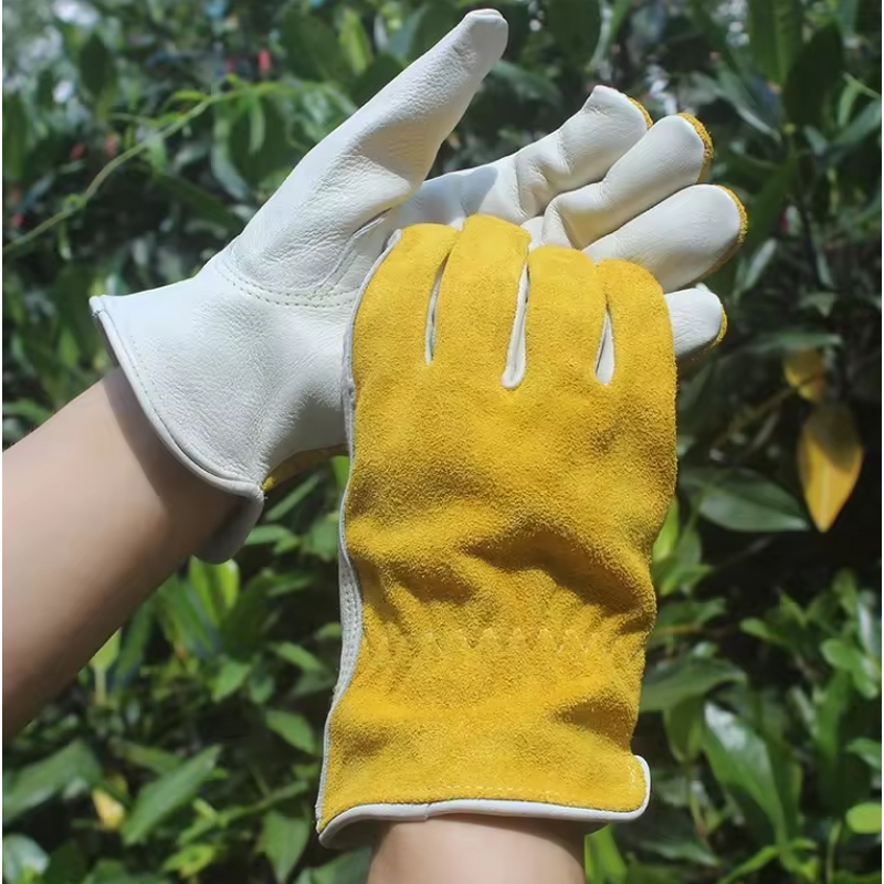 Motorcycle Leather Gloves Supplier - Thermal Motorbike Driving