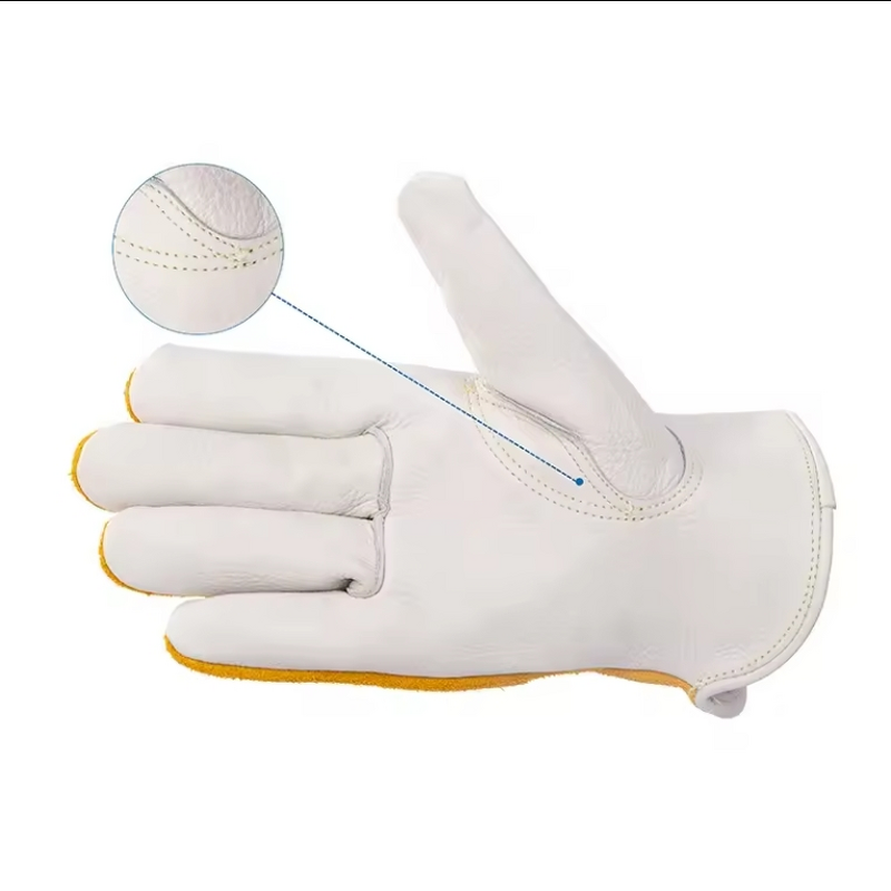 Motorcycle Leather Gloves Supplier - Thermal Motorbike Driving